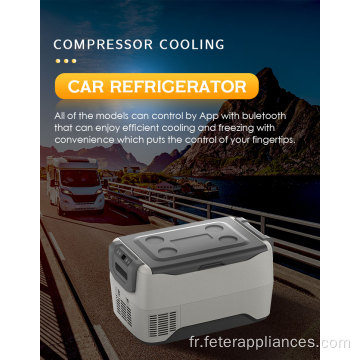 40L voiture réfrigérateur voiture aliments Portable mini réfrigérateur voiture réfrigérateur pour le camping